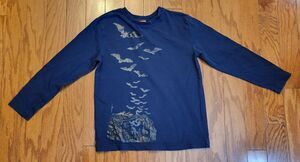 Boys Youth Size 8 (M) Blue Shirt long sleeve Haunted Bats